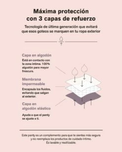 Culotte Classique à Soufflet Arrière Pour Règles Et Incontinence Tenue 24 Heures 28 Culotte Classique à Soufflet Arrière Pour Règles Et Incontinence Tenue 24 Heures -LEONISA Soldes 012978 700 1200x1500 lang es 6