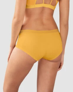 Lot De 3 Culottes Hipster En Coton -LEONISA Soldes 12760X3 S34 1200X1500 2